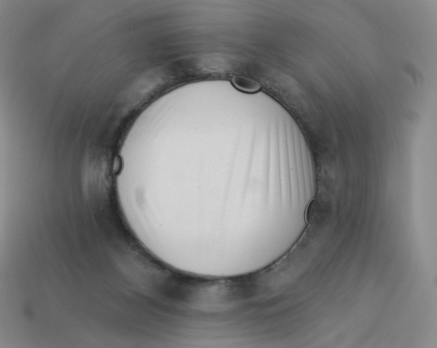 X0000113320116200910131136