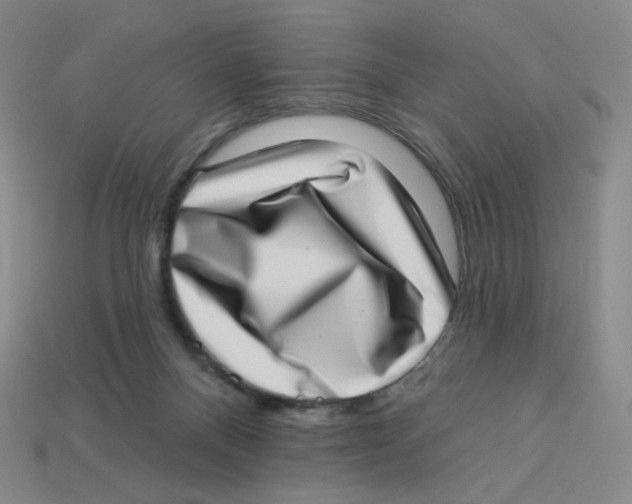 X0000113320120200910131136