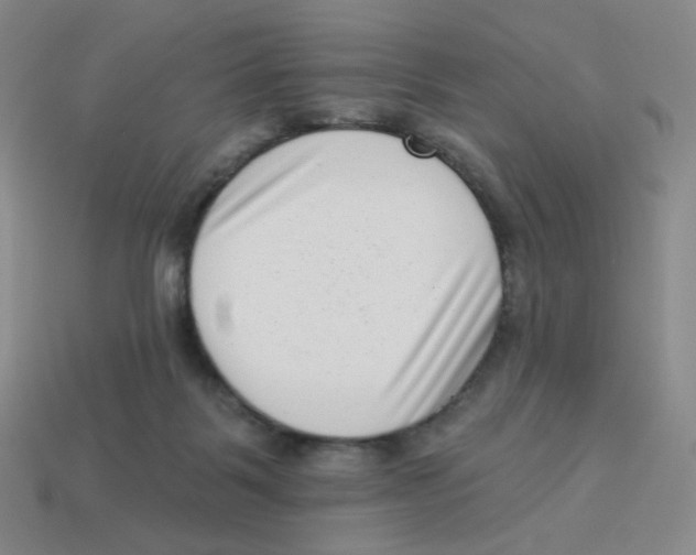 X0000113320123200910131136