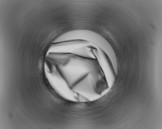 X0000113320124200910131136