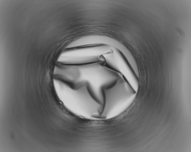 X0000113320128200910131136