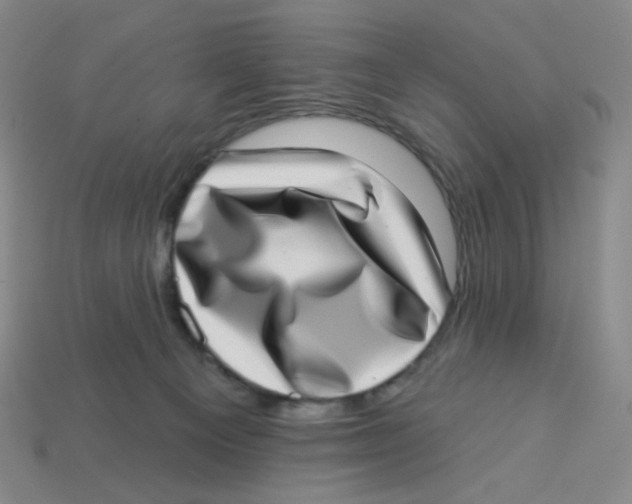 X0000113320129200910131136