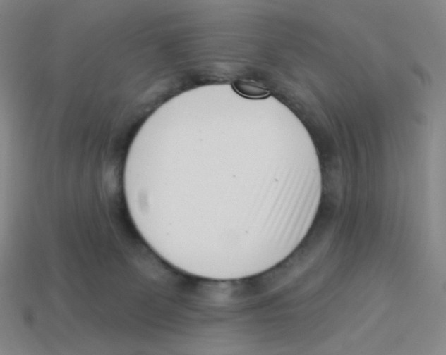 X0000113320131200910131136