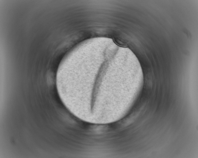 X0000113320135200910131136