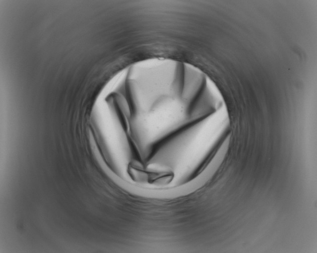 X0000113320137200910131136