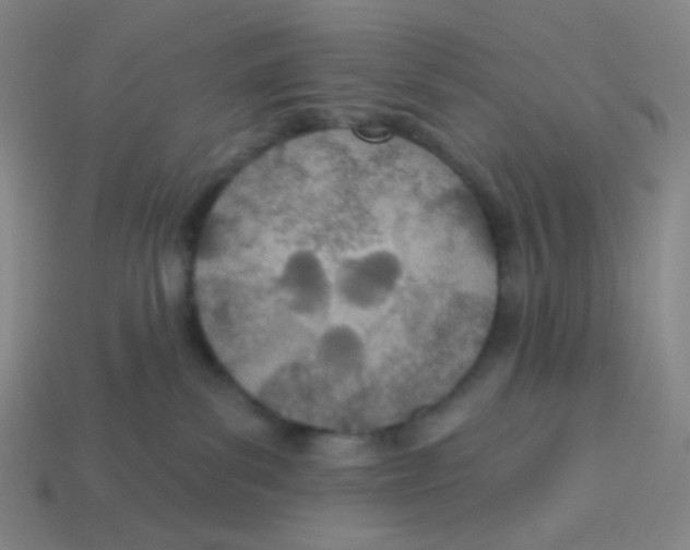 X0000113320139200910131136