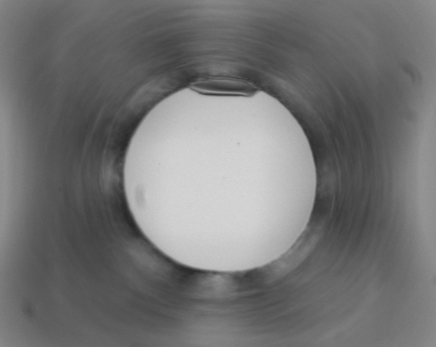 X0000113320140200910131136