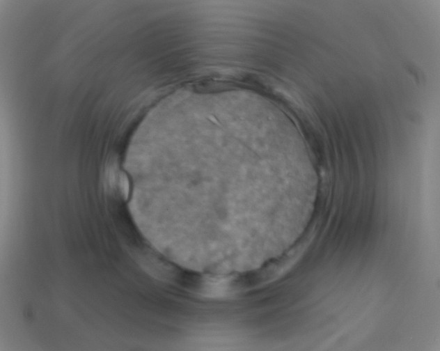 X0000113320143200910131136