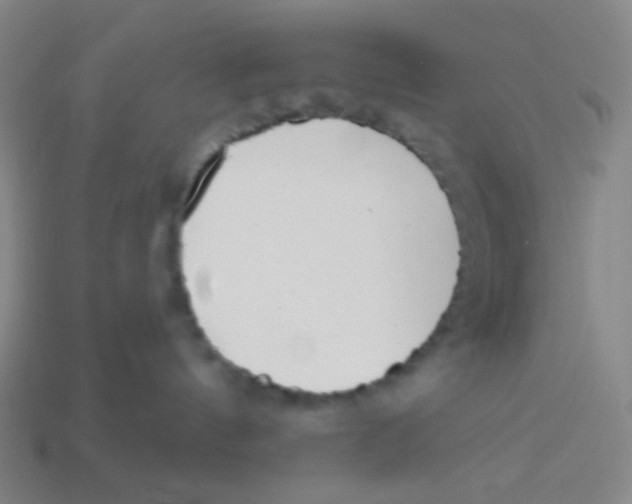 X0000113320144200910131136