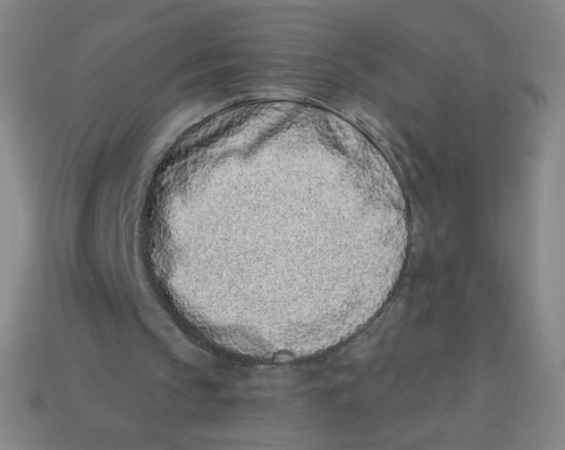 X0000113320145200910131135