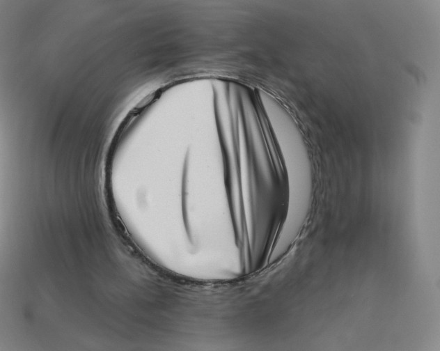 X0000113320148200910131135