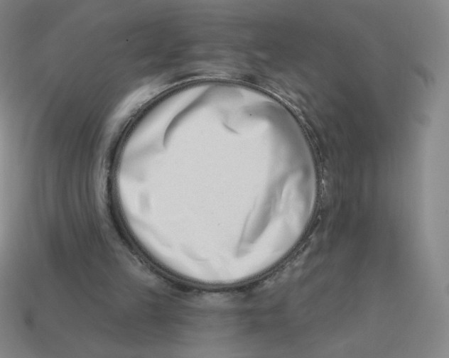 X0000113320149200910131135