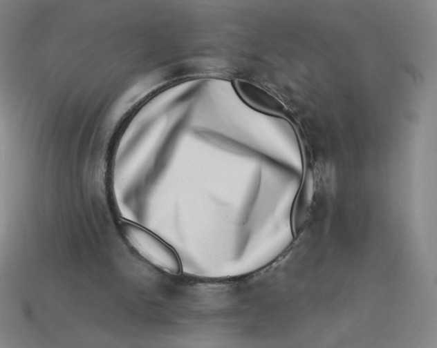 X0000113320150200910131135