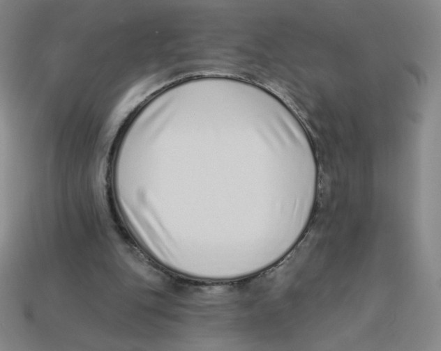 X0000113320151200910131135