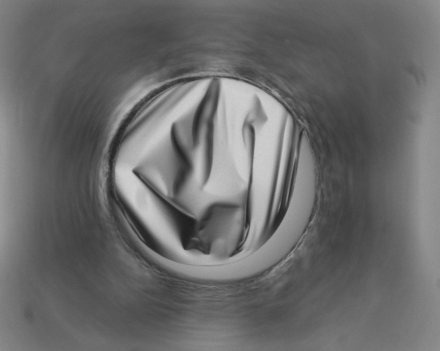 X0000113320152200910131135