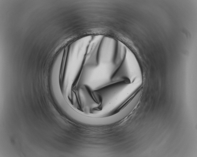 X0000113320154200910131135