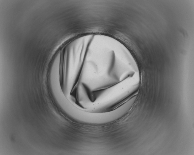 X0000113320156200910131135