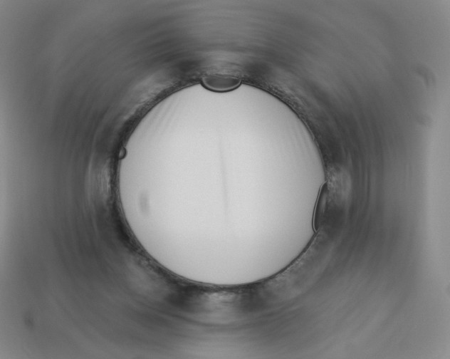 X0000113320158200910131135