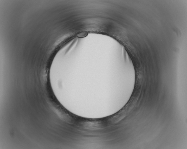 X0000113320160200910131135