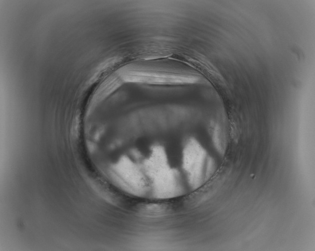 X0000113320163200910131135