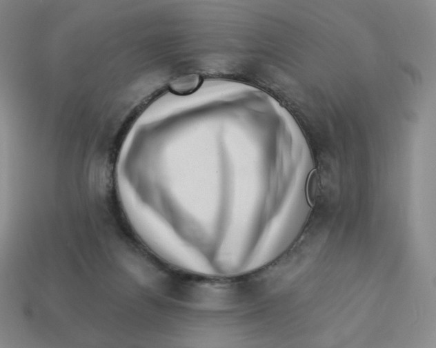 X0000113320164200910131135