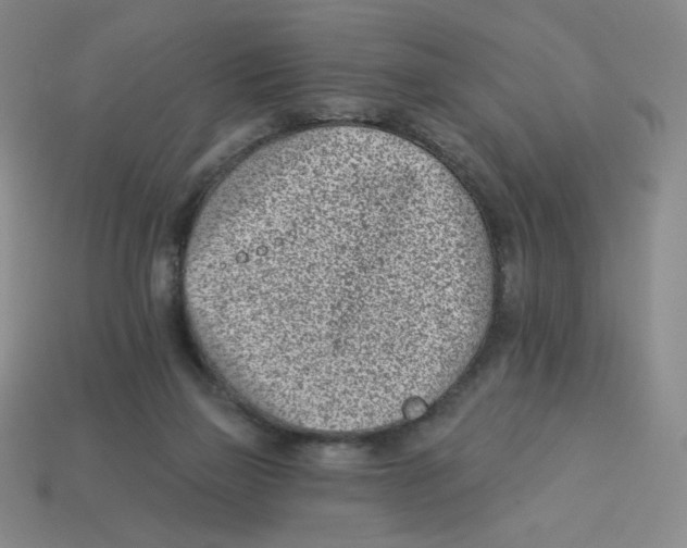 X0000113320165200910131135