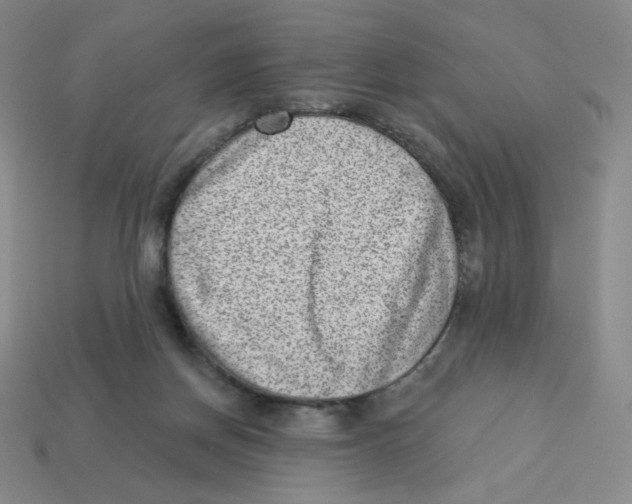 X0000113320166200910131135