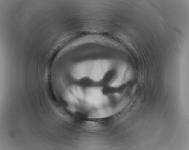 X0000113320167200910131135