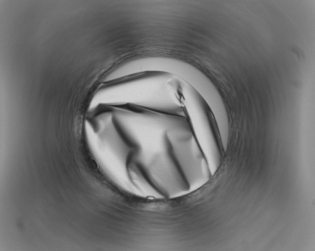 X0000113320168200910131135