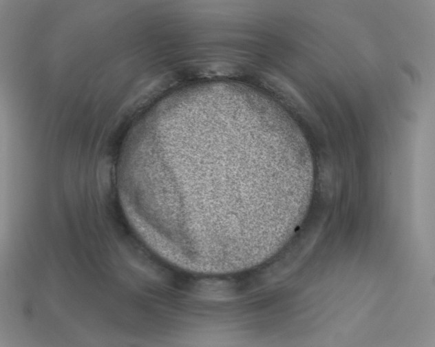 X0000113320169200910131135