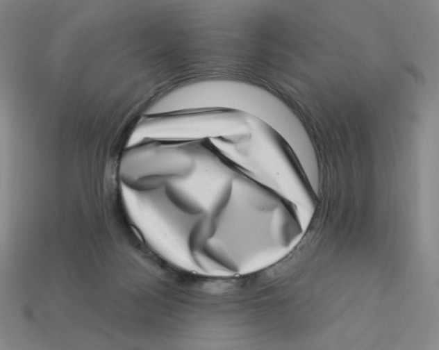 X0000113320172200910131135