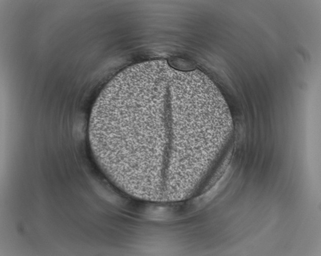 X0000113320174200910131135