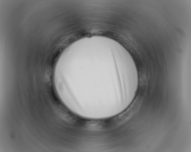 X0000113320175200910131135