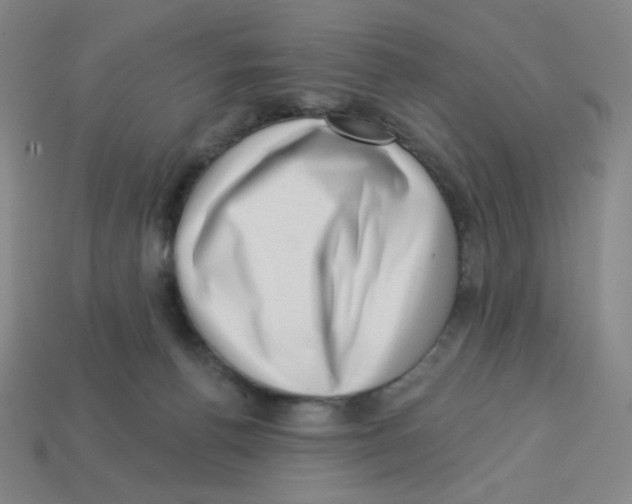 X0000113320176200910131135