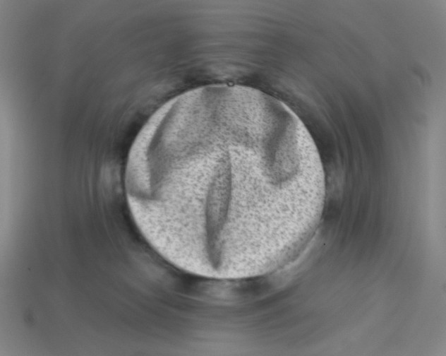 X0000113320182200910131135