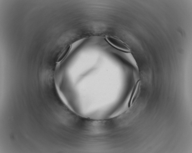 X0000113320184200910131135