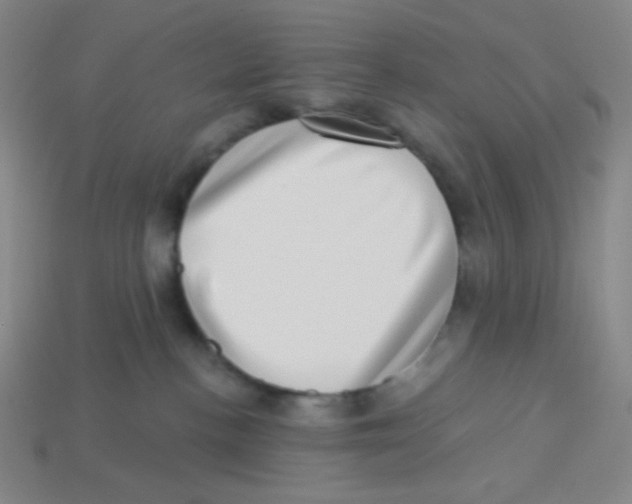 X0000113320188200910131135