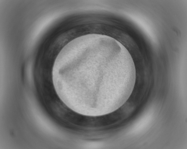 X0000113320189200910131135