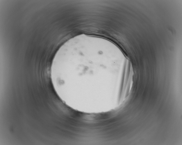 X0000113320190200910131136