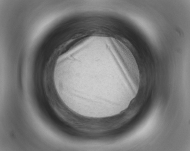 X0000113320191200910131136