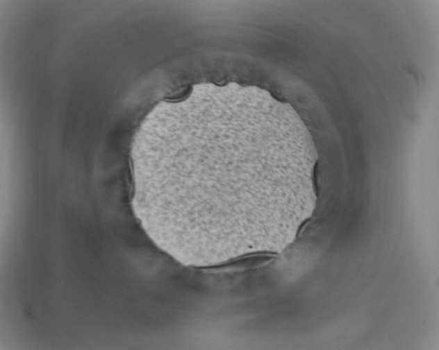 X0000113320192200910131136