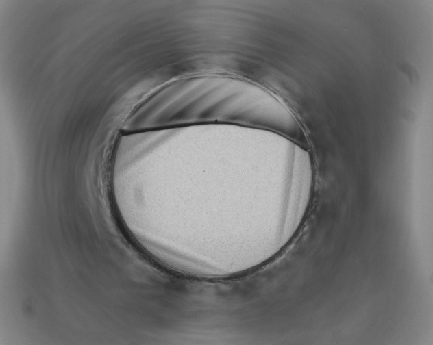 X0000113320193200910131135