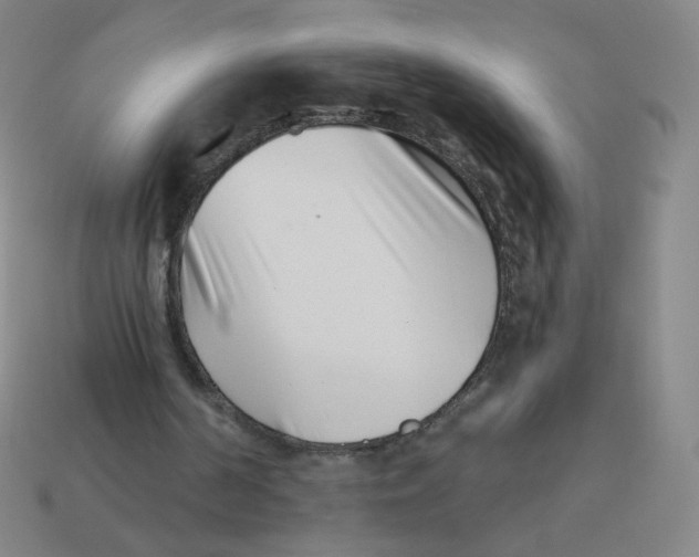 X0000113320194200910131135