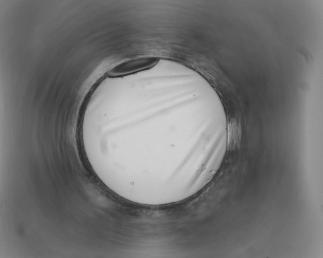 X0000113320195200910131135