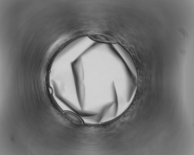 X0000113320197200910131135