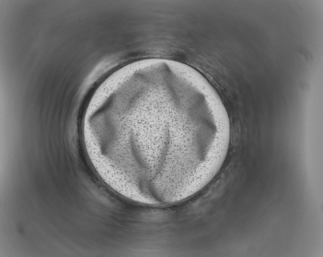 X0000113320198200910131135