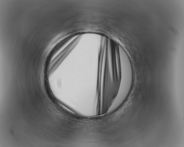 X0000113320199200910131135