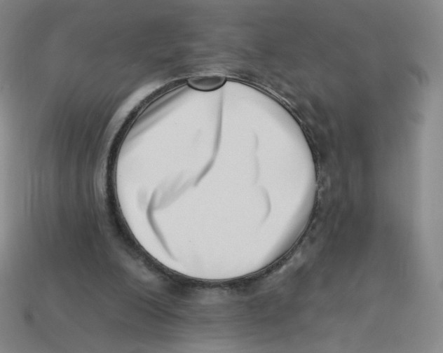 X0000113320200200910131135