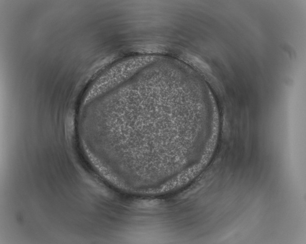 X0000113320202200910131135