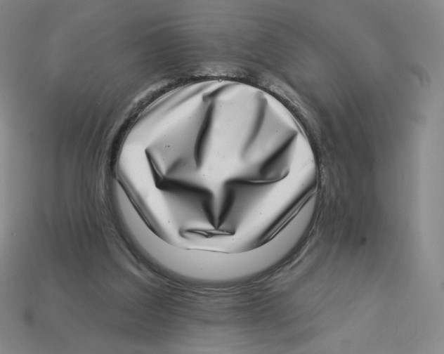 X0000113320203200910131135